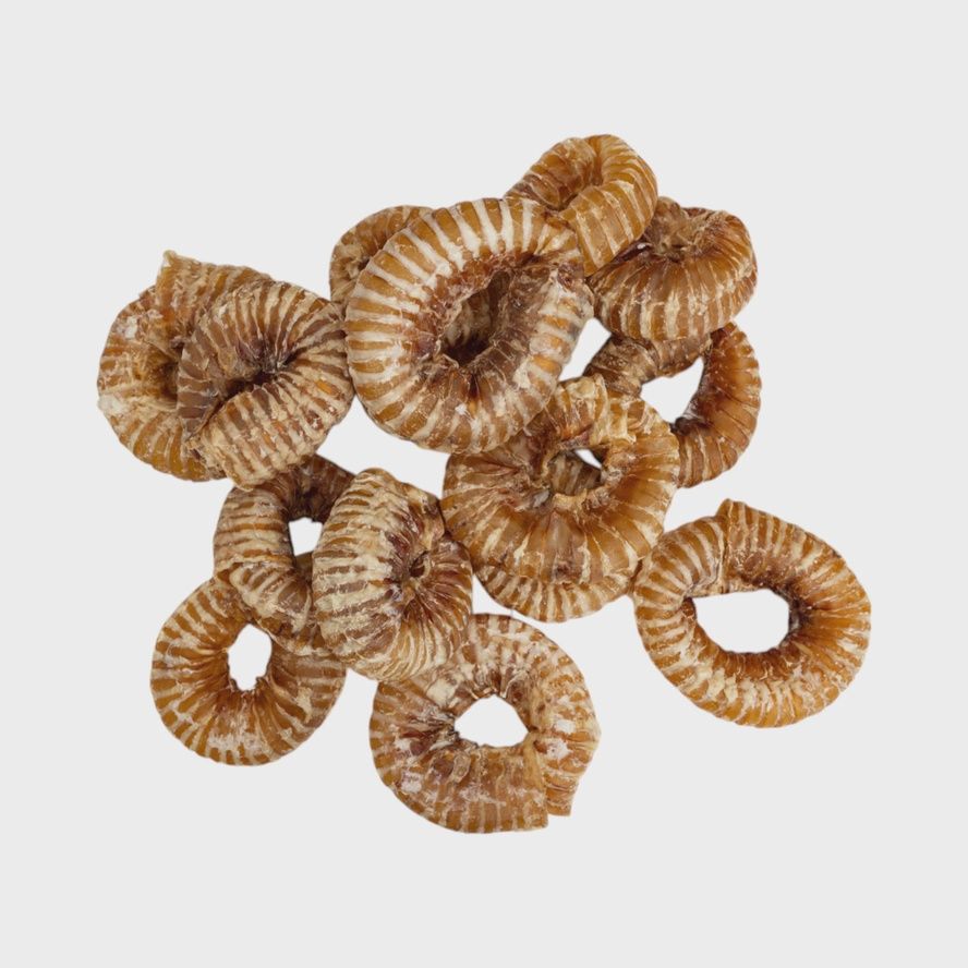 Beef Trachea Ring 2-4&quot;