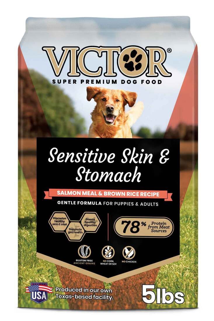 Victor Sensitive Skin &amp; Stomach Salmon 5#