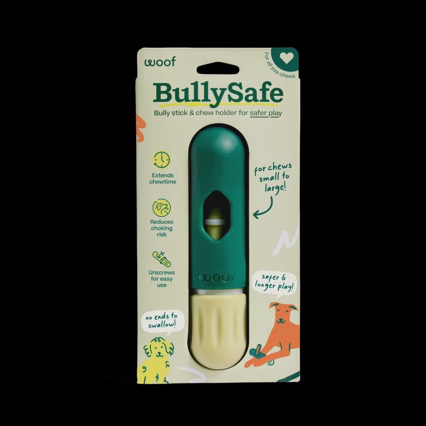 THE BULLYSAFE