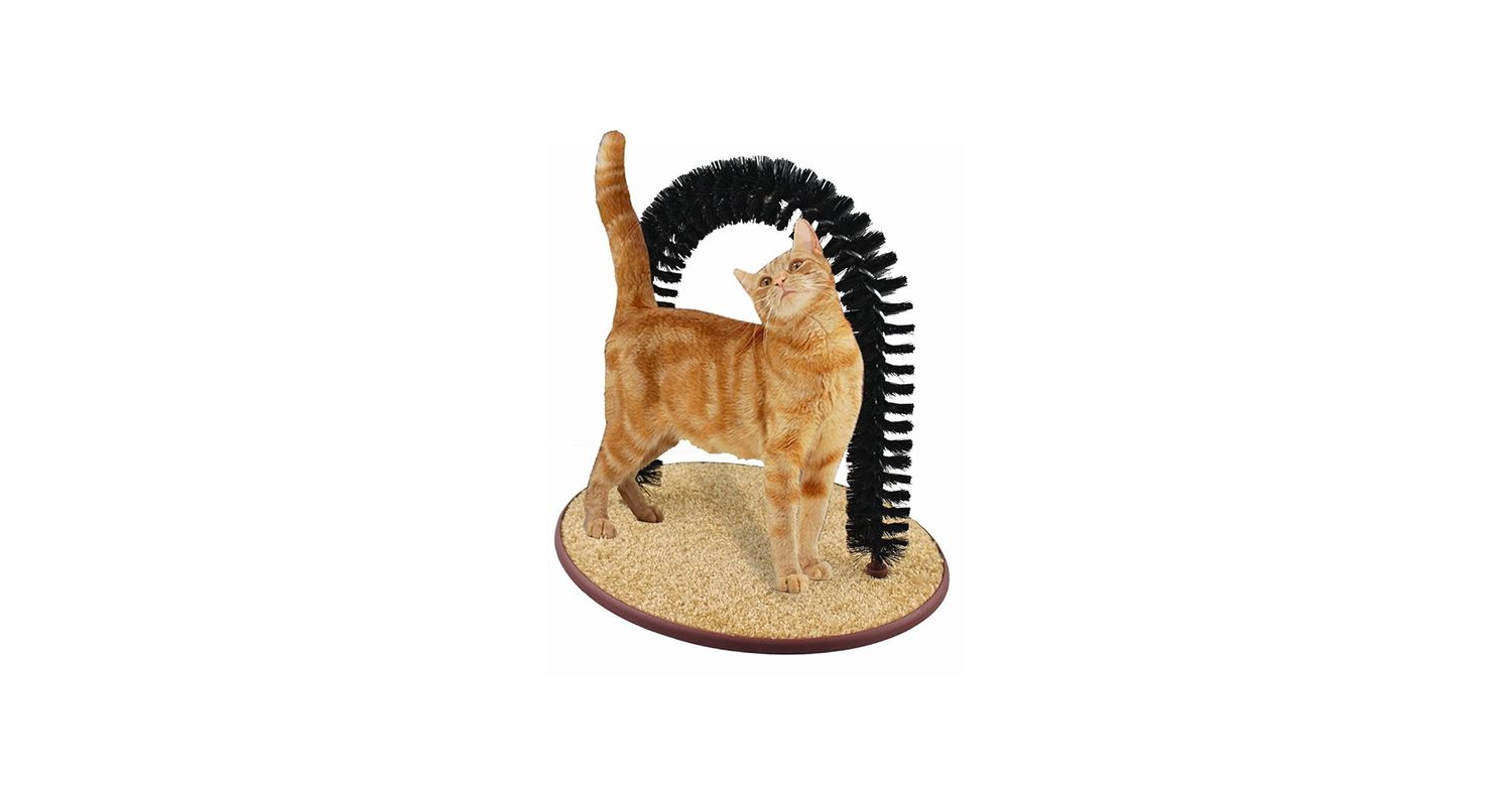 PURRFECT ARCH