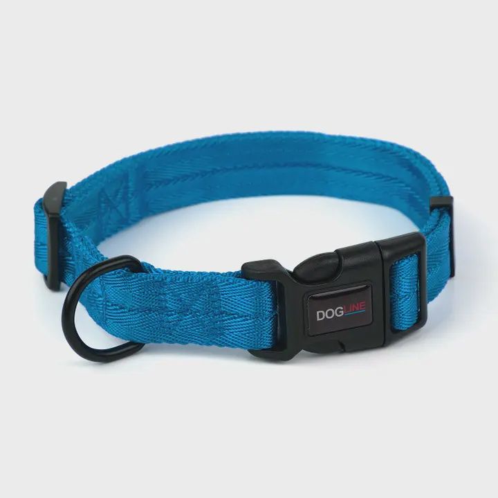 Nylon Flat Collar  Cyan, 11-16"