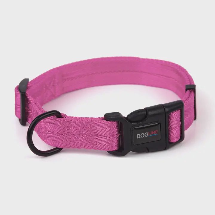 Nylon Flat Collar  Hot Pink, 16-24"