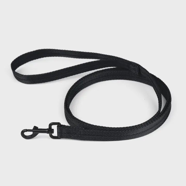 Nylon Flat Leash  Black, 6'