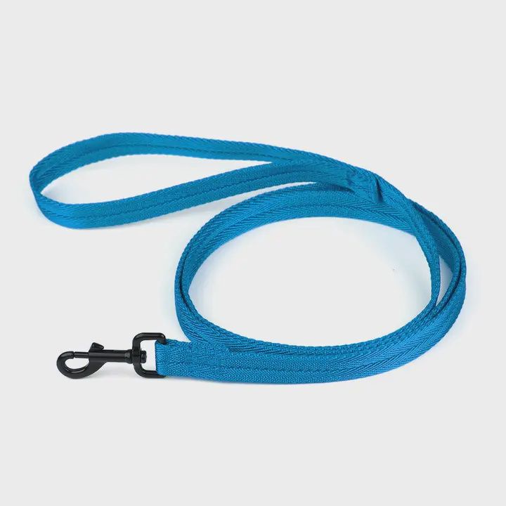 Nylon Flat Leash  Cyan, 6'