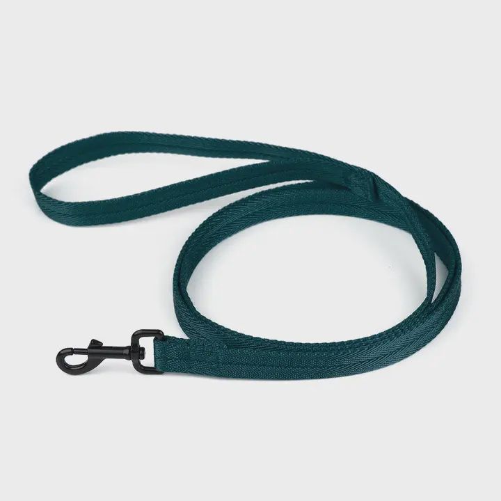 Nylon Flat Leash  Dark Teal, 6'