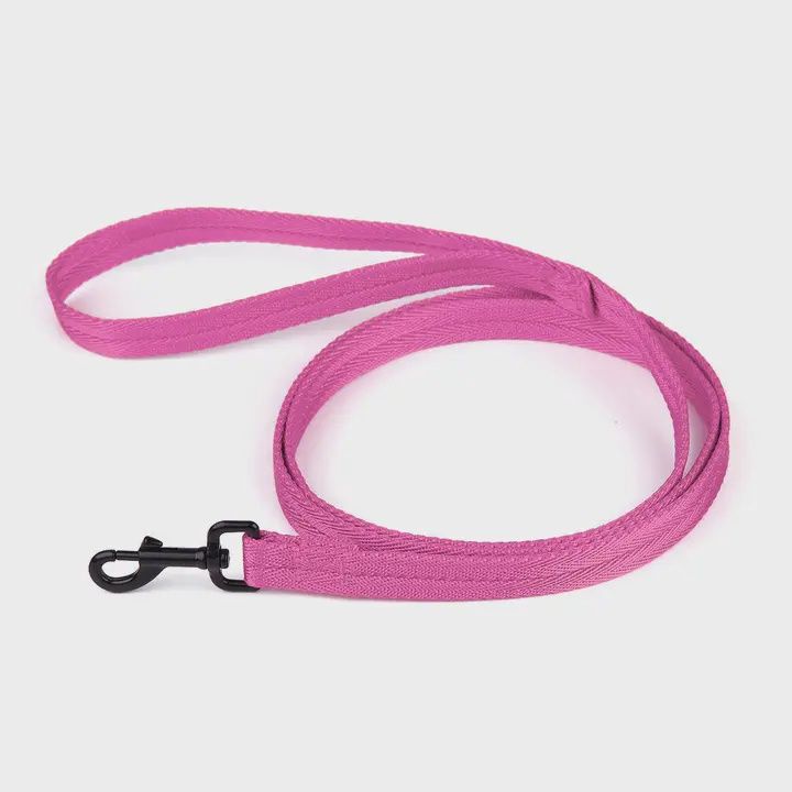 Nylon Flat Leash  Hot Pink, 6'