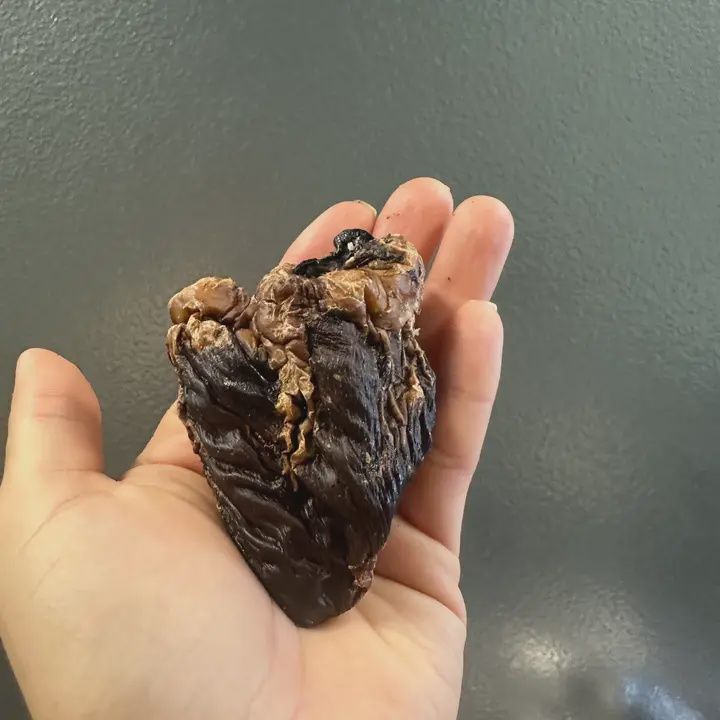Lamb Heart