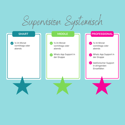 Supervision Systemisch