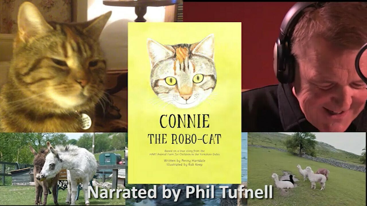 Connie the Robo Cat read by Phil Tufnell