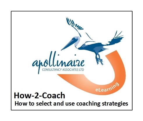 16. How to select and use coaching strategies