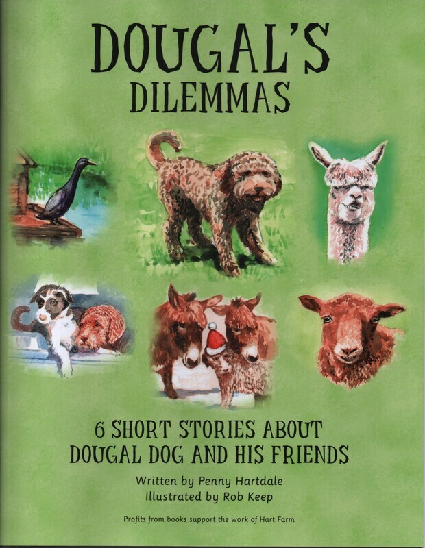 Dougal's Dilemmas