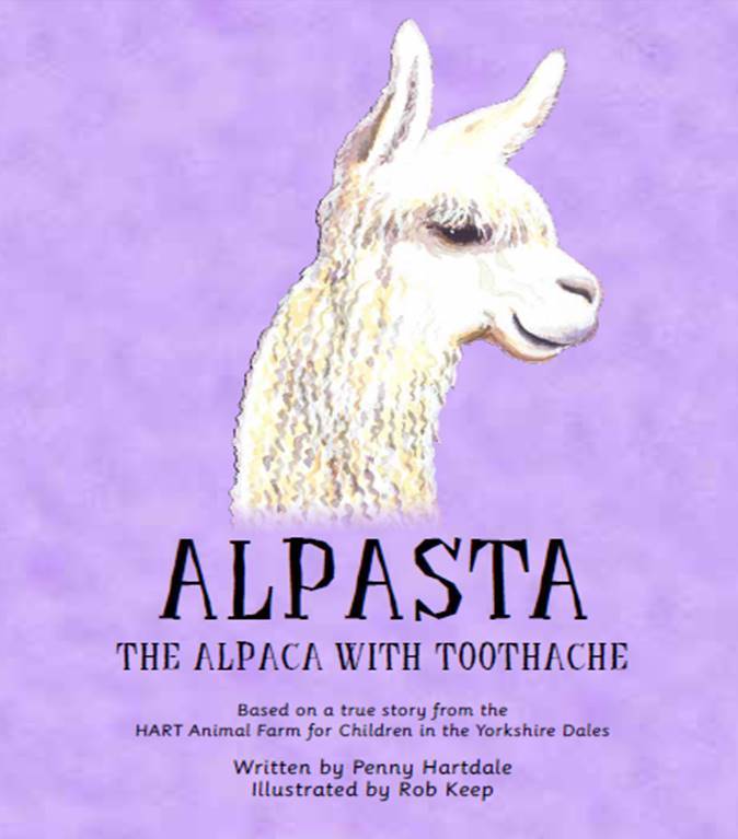 Alpasta the alpaca with toothache
