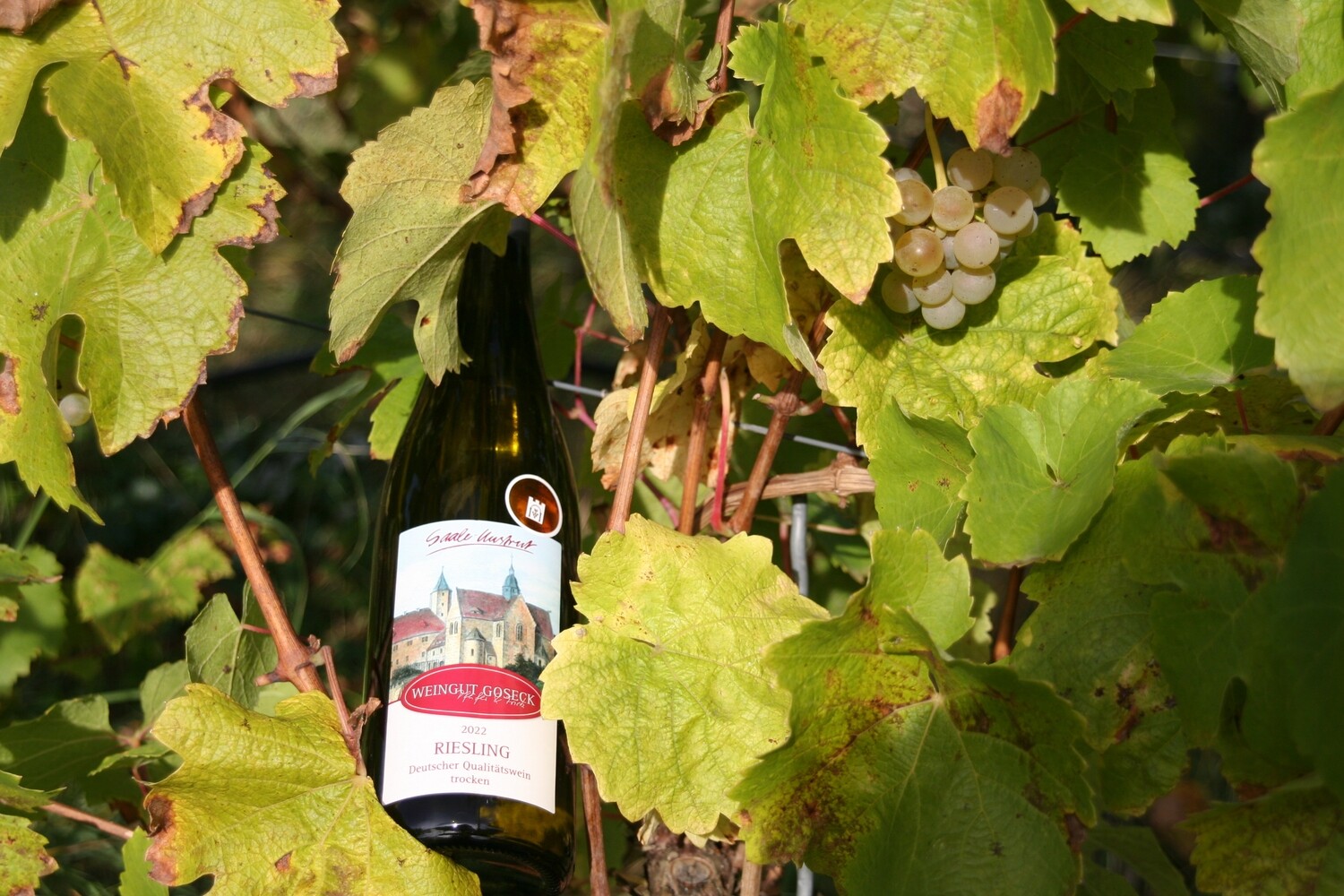 2022 Riesling trocken