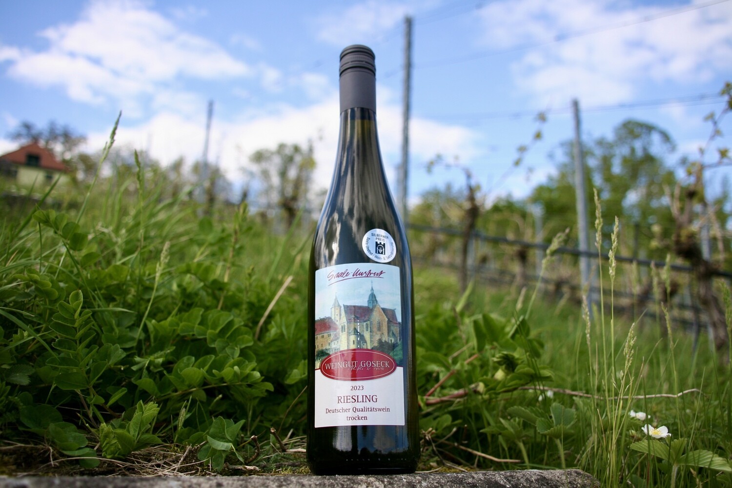 2023 Riesling trocken