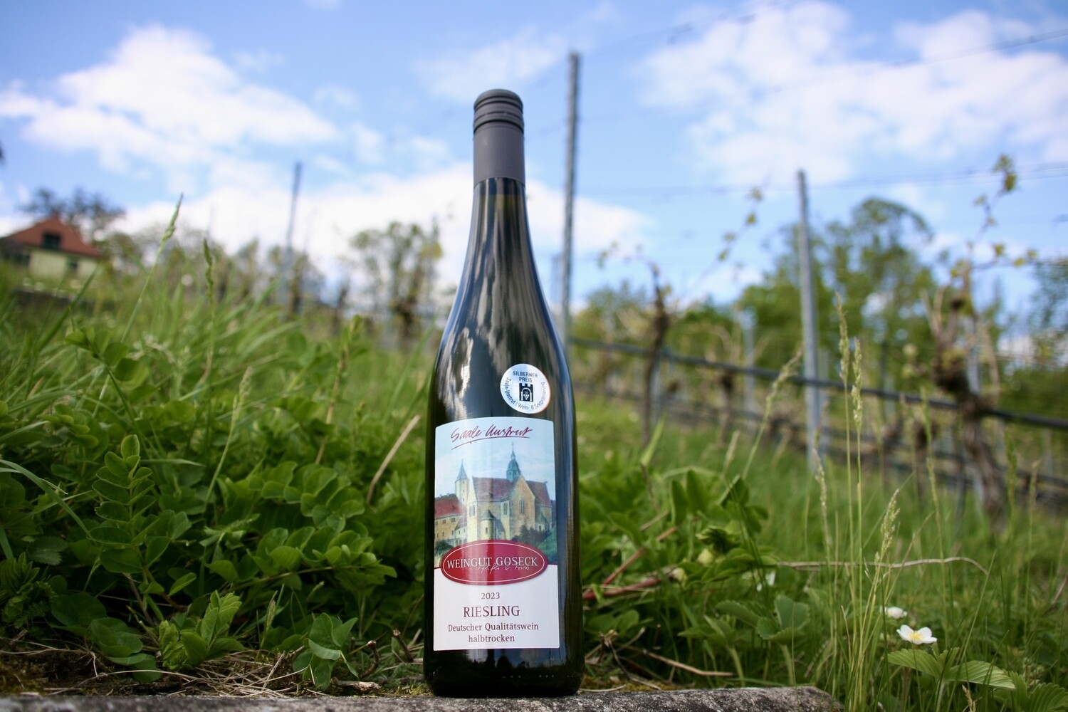 2023 Riesling halbtrocken