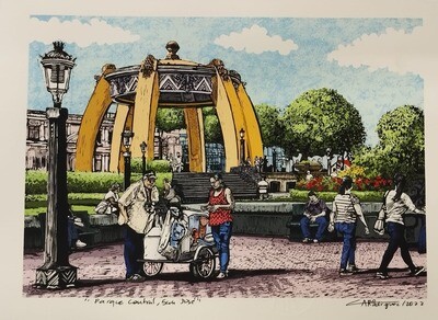 Gráfica Carolina Rodríguez