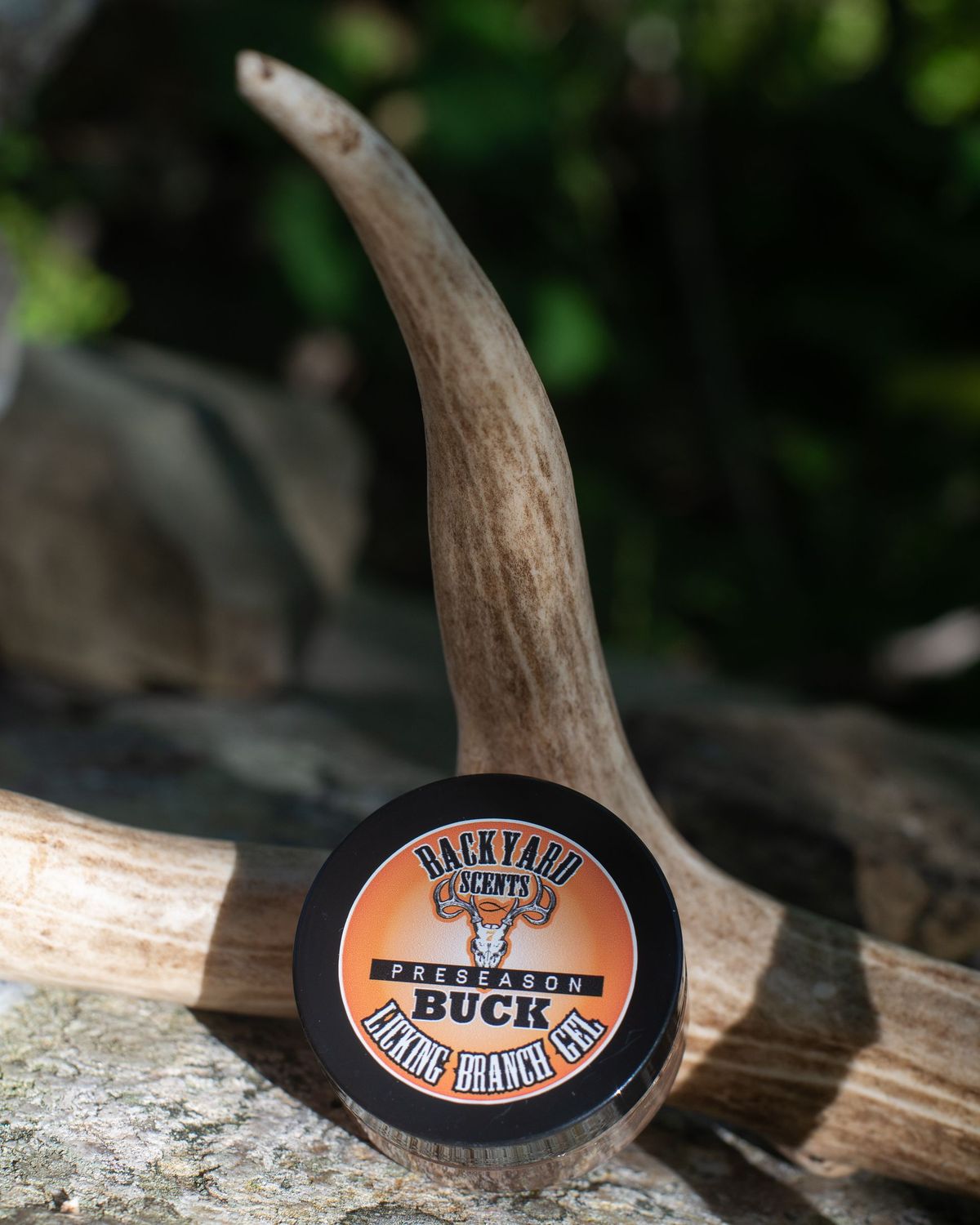 PRESEASON Buck Licking Branch GEL
