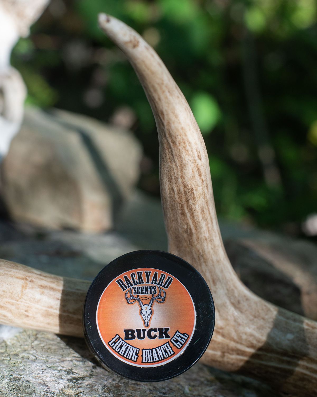 IN-SEASON Buck Licking Branch GEL