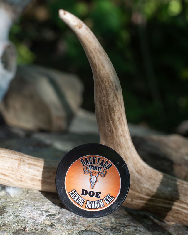 IN-SEASON Doe Licking Branch Gel