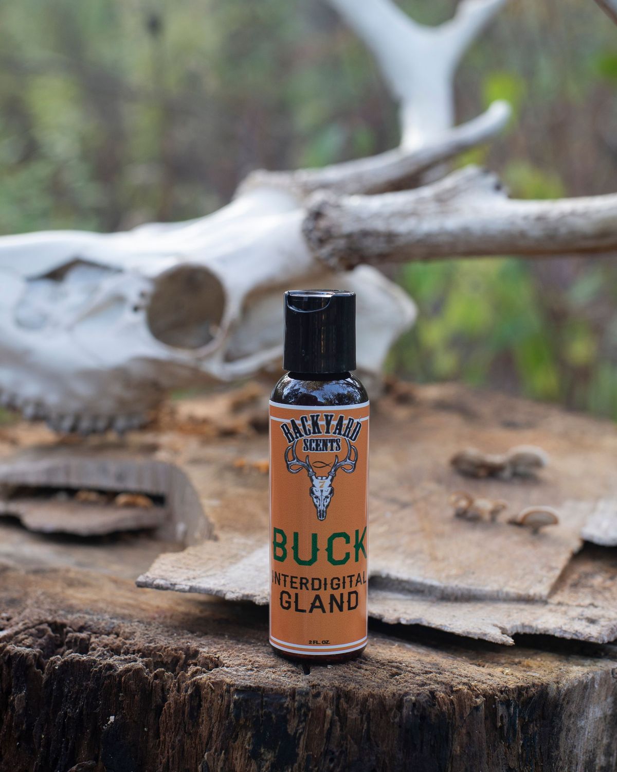 Buck Interdigital Gland
