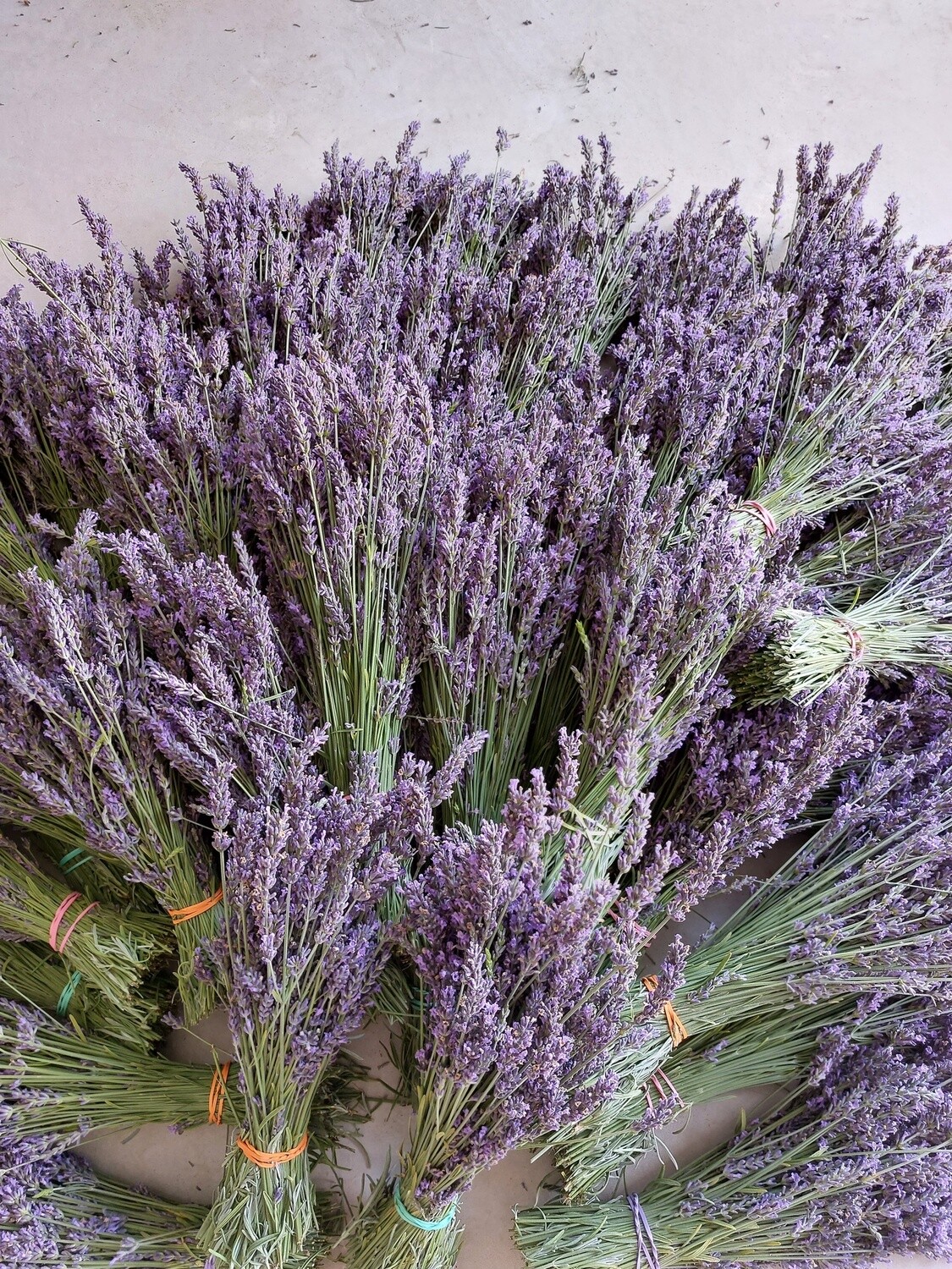 Dried Lavender Bundles