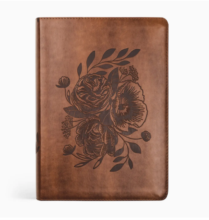 ESV Study Bible : Aurora Theme