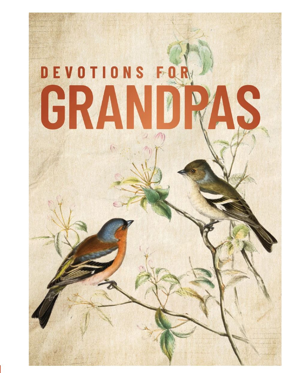 Devotions For Grandpas
