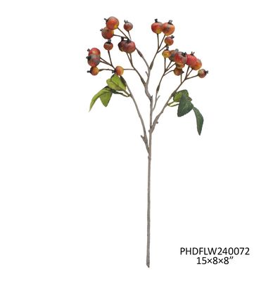 Linden Berry Stem Orange