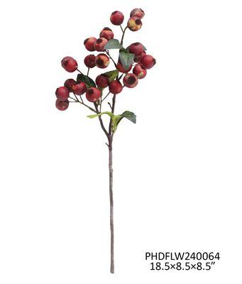 Crabapple Red