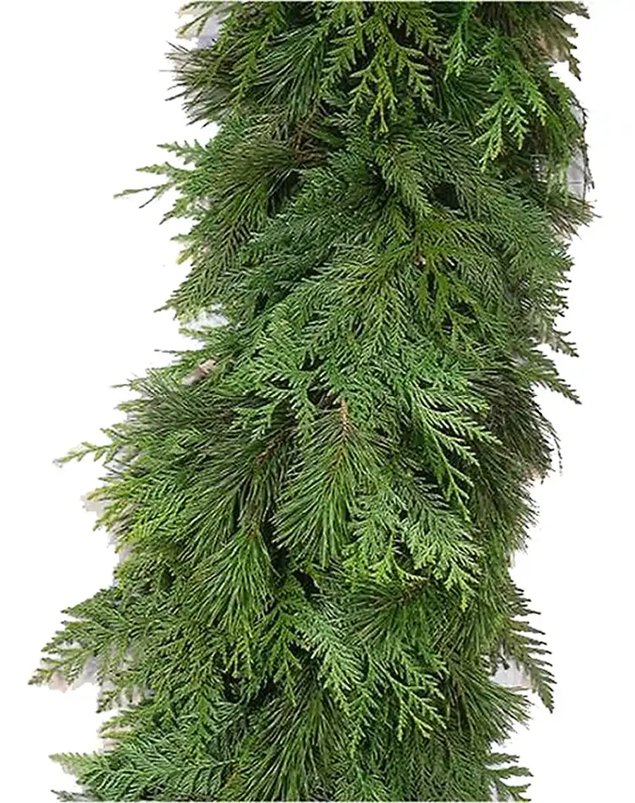 Fresh Cedar Garland
