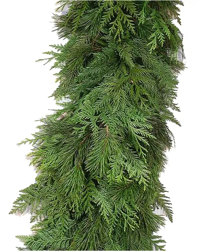 Fresh Cedar Garland