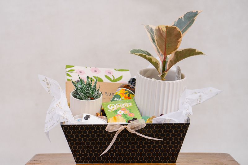 Plant Lover Gift Basket