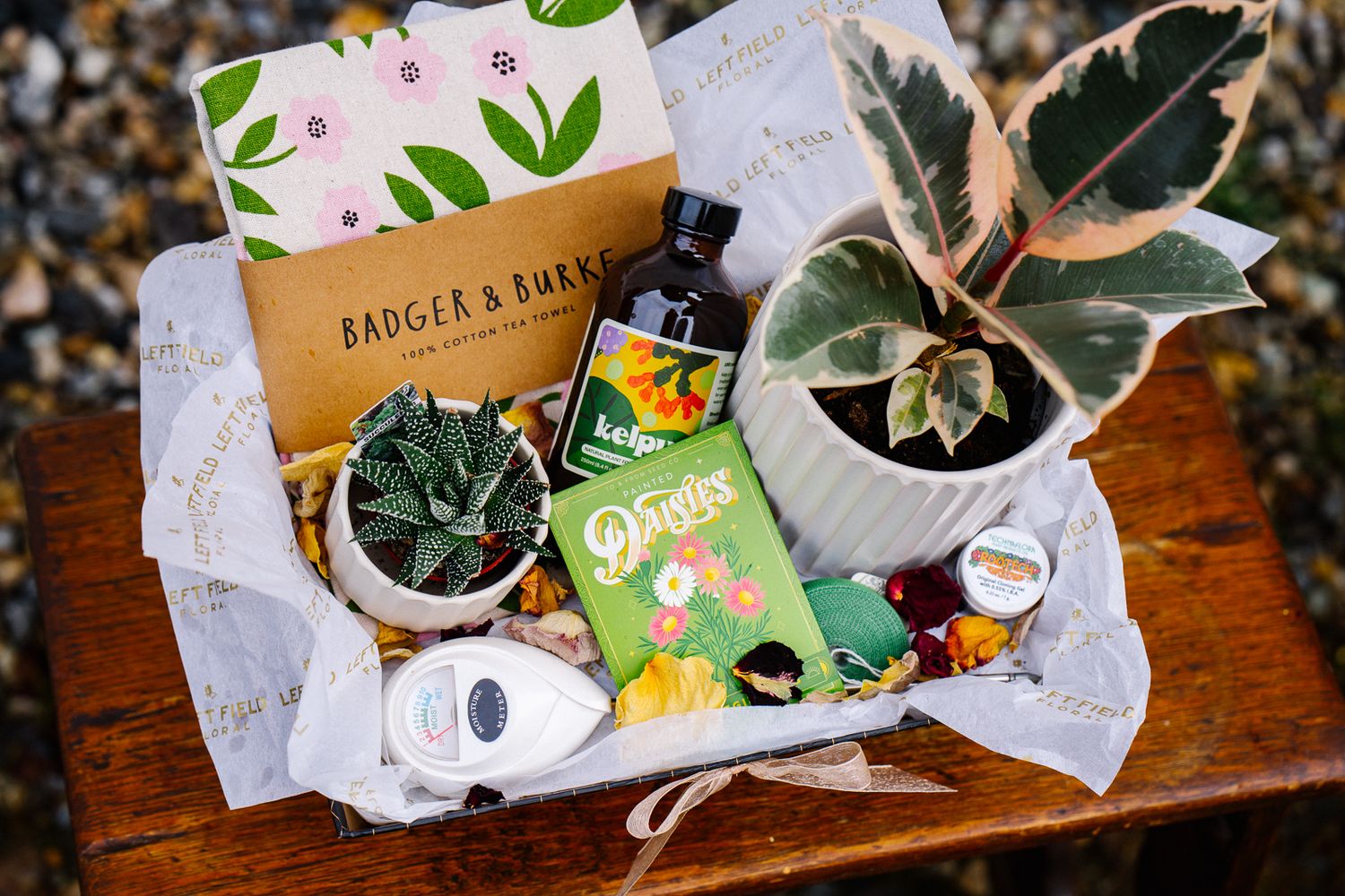 Plant Lover Gift Basket