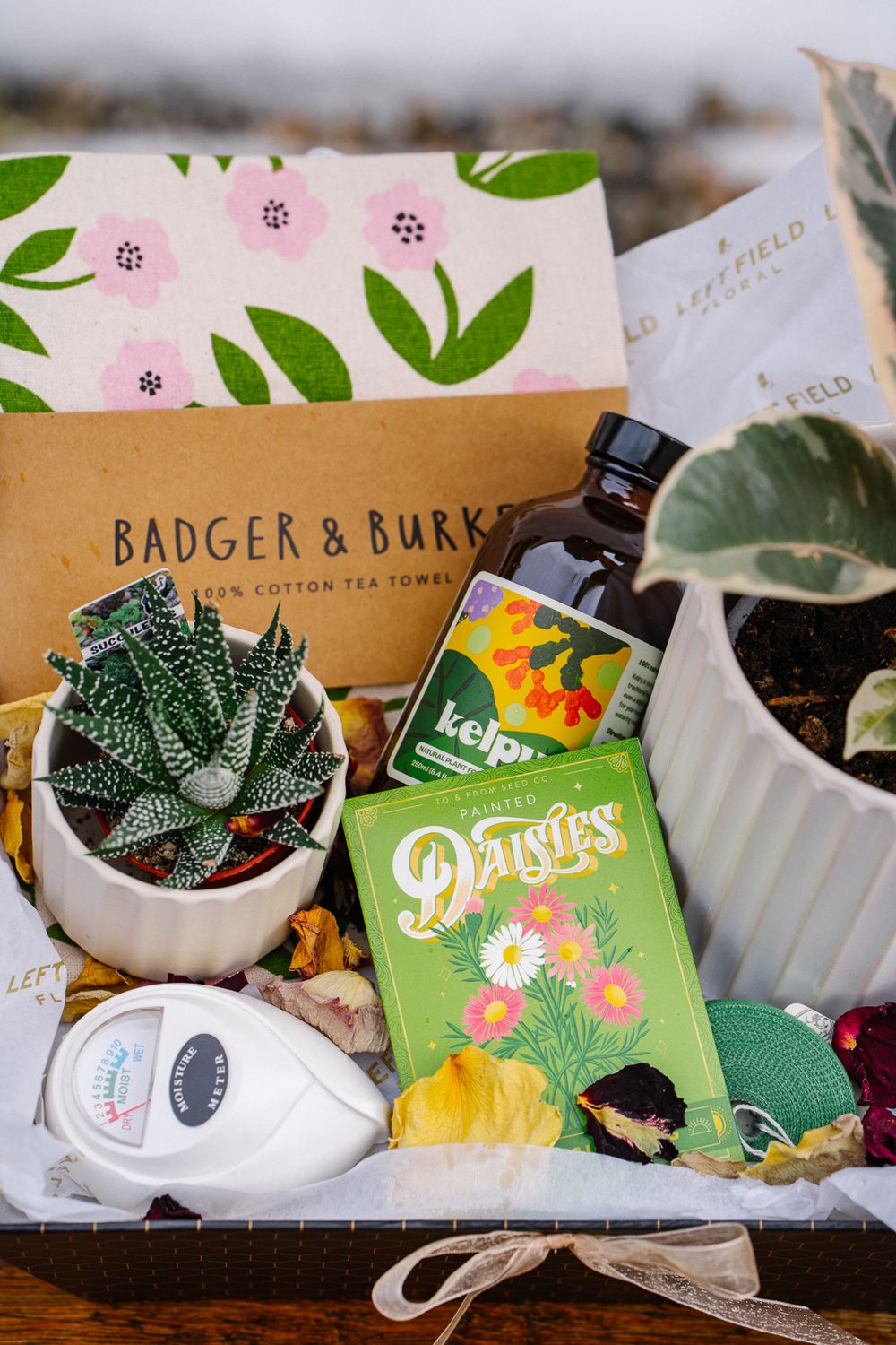 Plant Lover Gift Basket