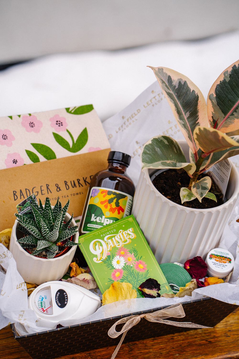 Plant Lover Gift Basket