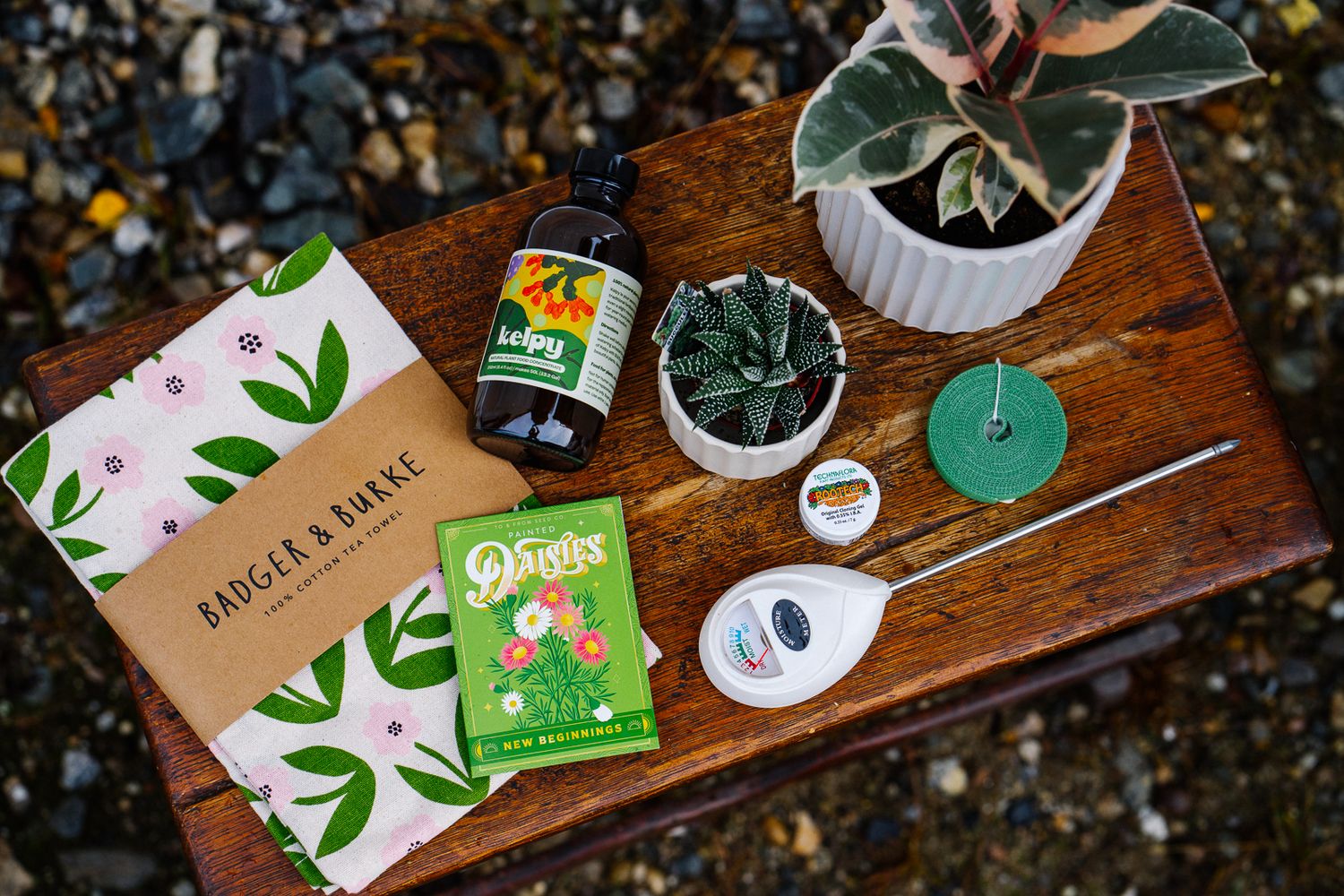 Plant Lover Gift Basket