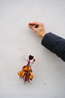 Dried Flower Fairies