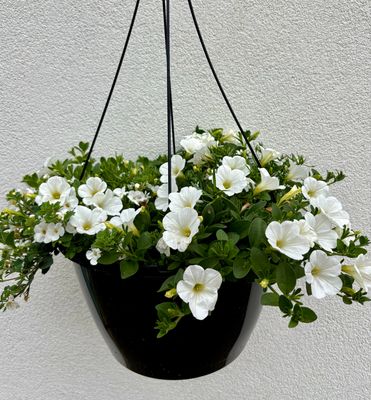 Outdoor Hanging Basket