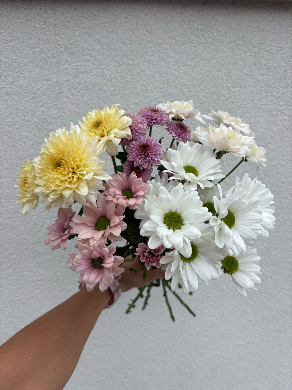 Bundle of Mums