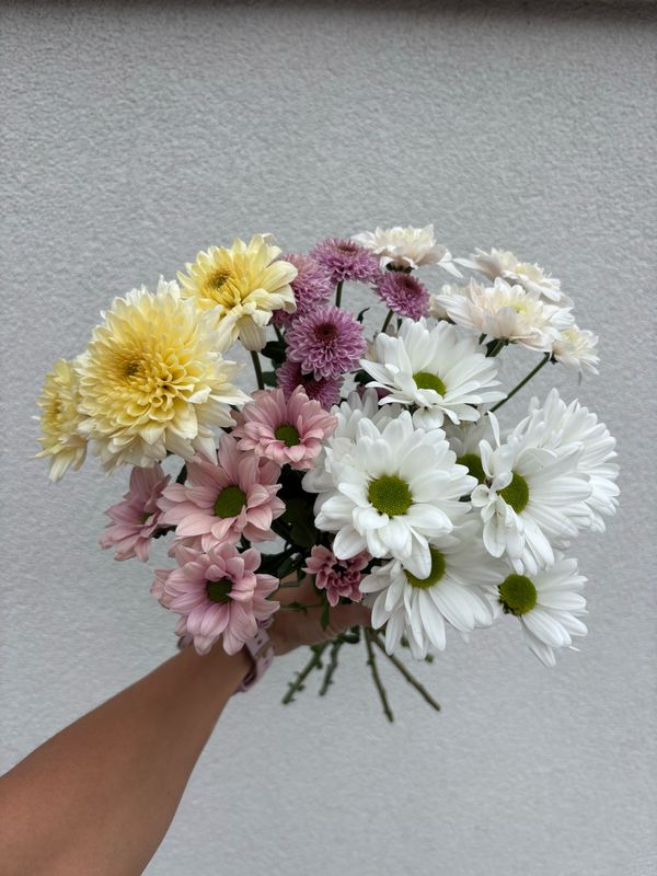 Bundle of Mums