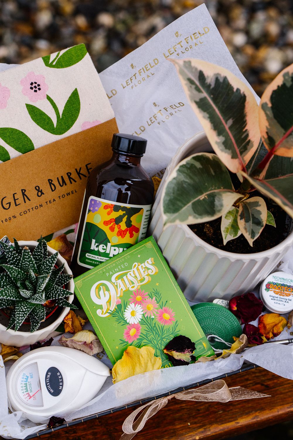 Plant Lover Gift Basket