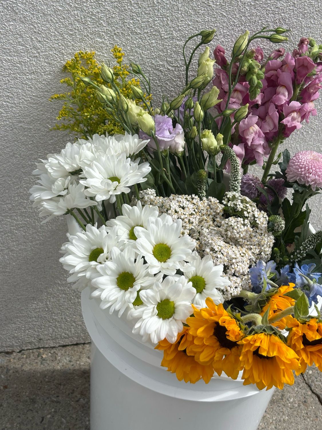 Bulk Flower Buckets