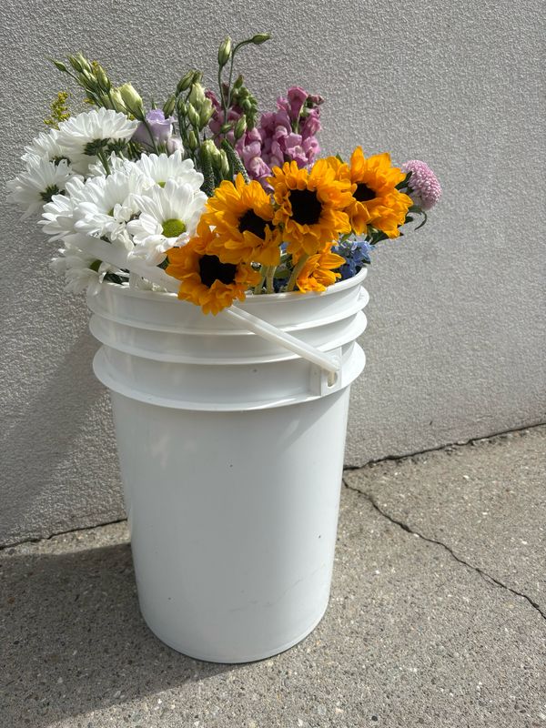 Bulk Flower  &amp; Greenery Buckets