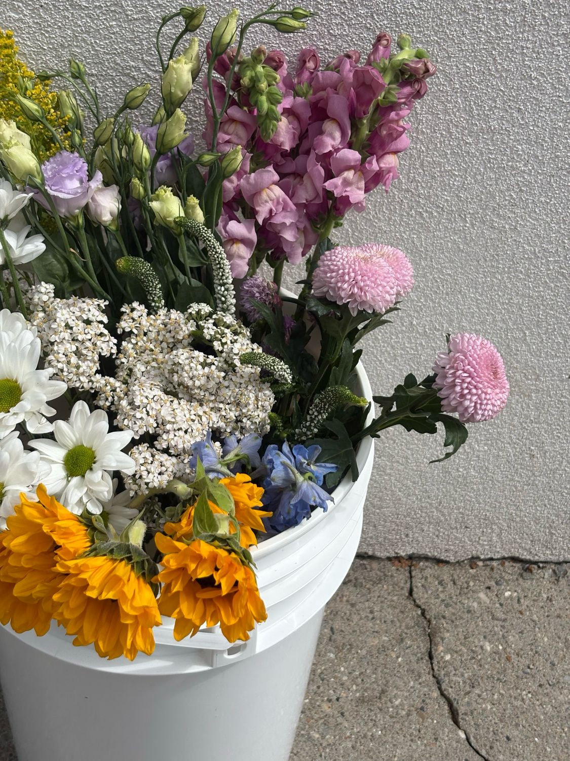 Bulk Flower Buckets