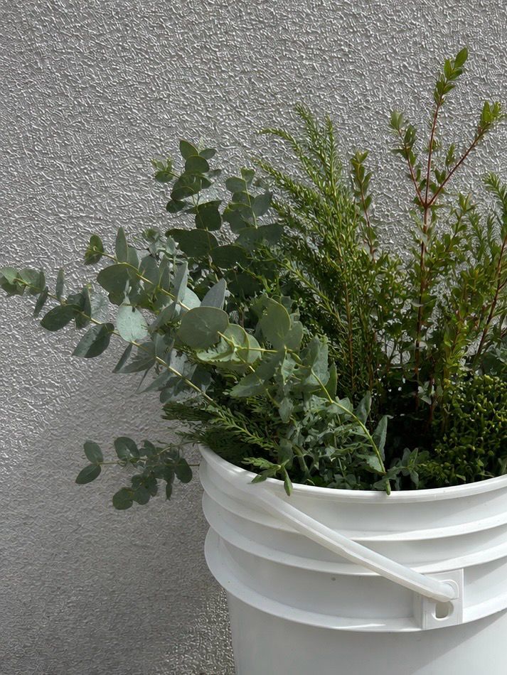 Bulk Flower  &amp; Greenery Buckets