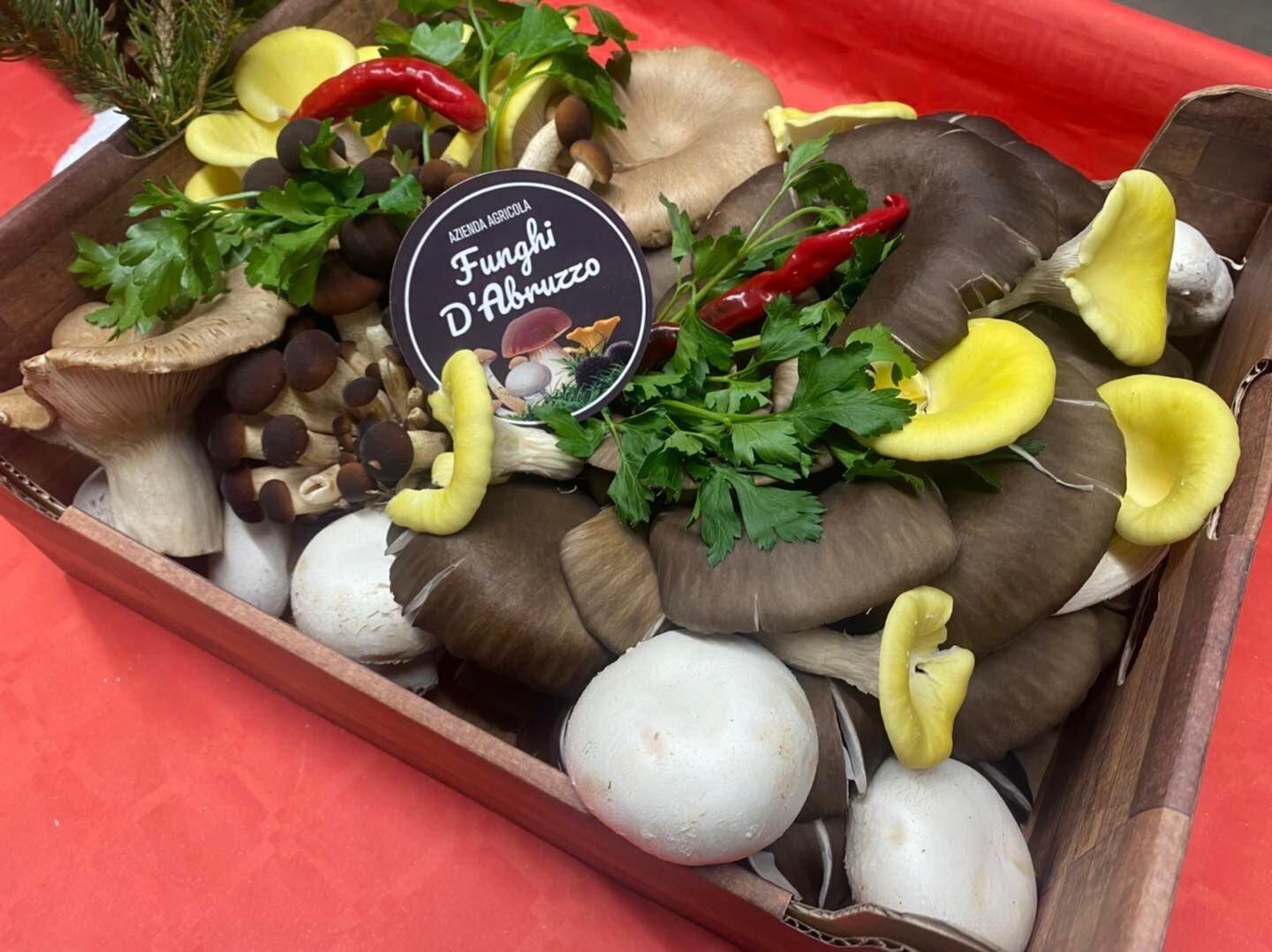 Cestino funghi freschi misti kg 2.5