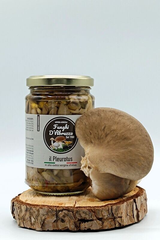 Il Pleurotus gr  300 / gr 500  a partire da