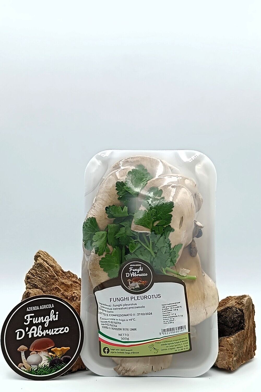 Funghi fresci Pleurotus vassoio gr 300