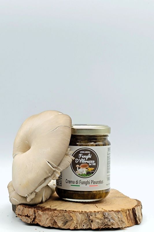 Crema di funghi Pleurotus gr 180
