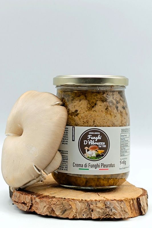 Crema di funghi Pleurotus gr 500